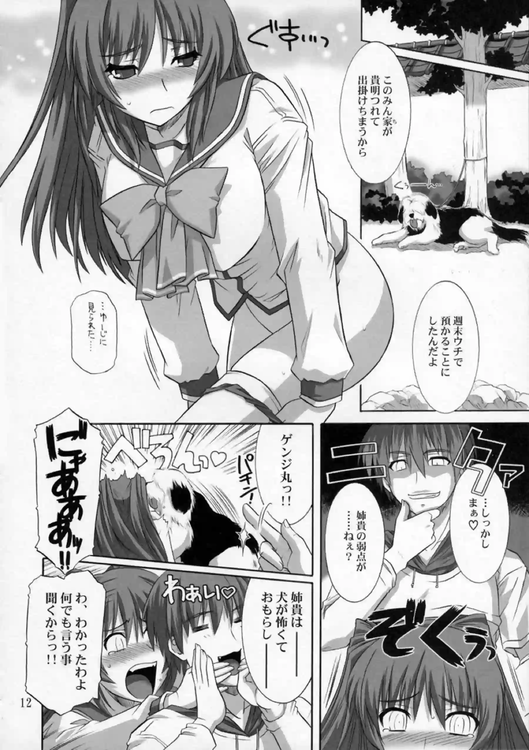 タマ姉は雄二にご奉仕！フェラとパイズリにバックや正常位でSEXされてぶっかけまくる！ - PAGE 011