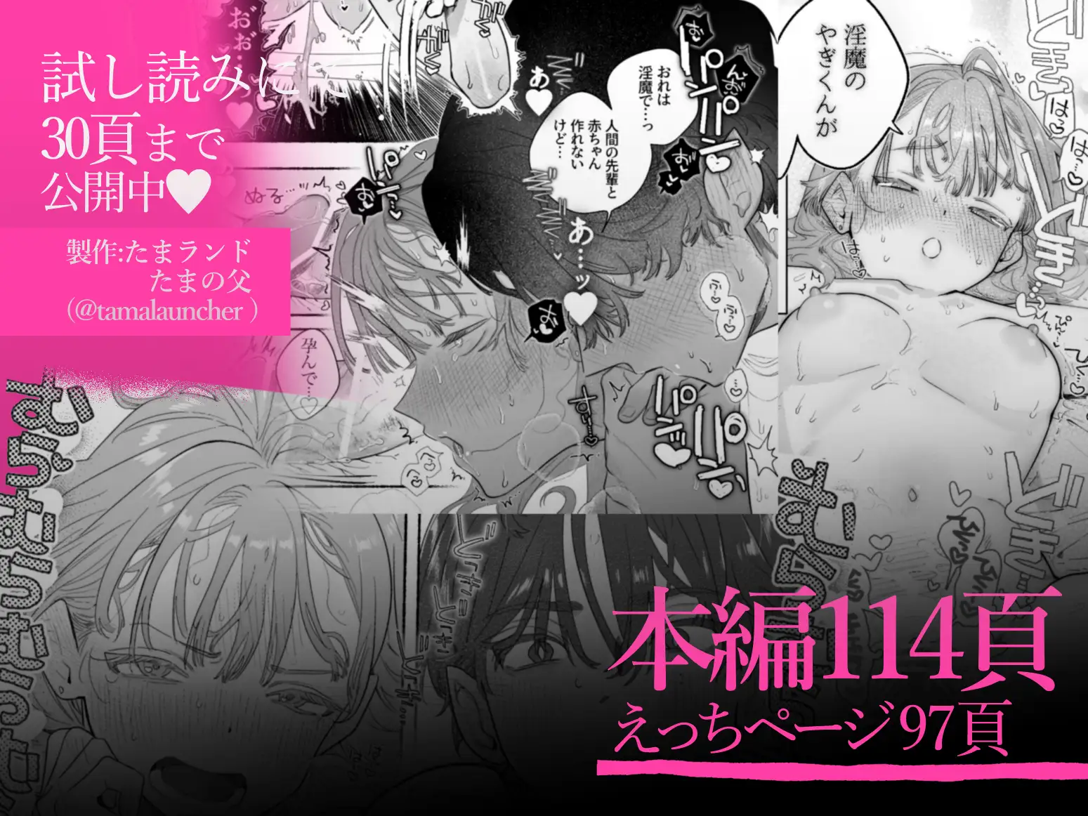 淫魔専用車両 玩具痴幹線 ～急行ホテルイき～[たまランド] - PAGE 042