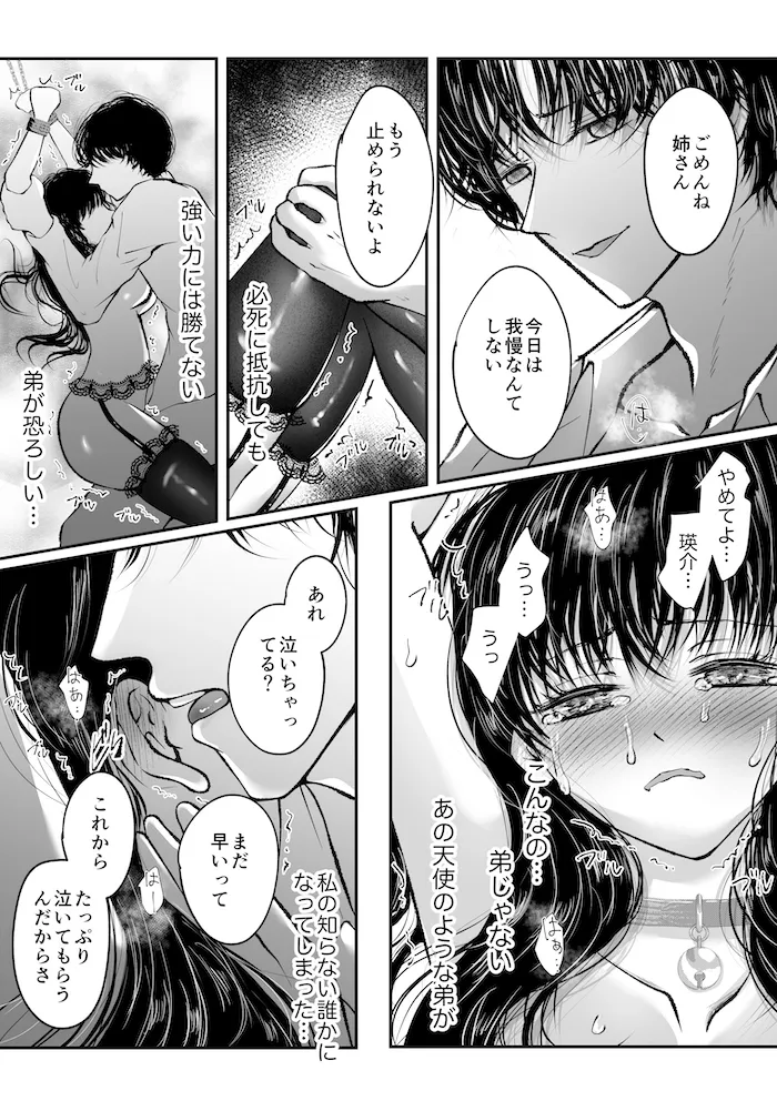 監禁調教〜溺愛ヤンデレ弟に堕とされた姉〜[Ash+] - PAGE 006