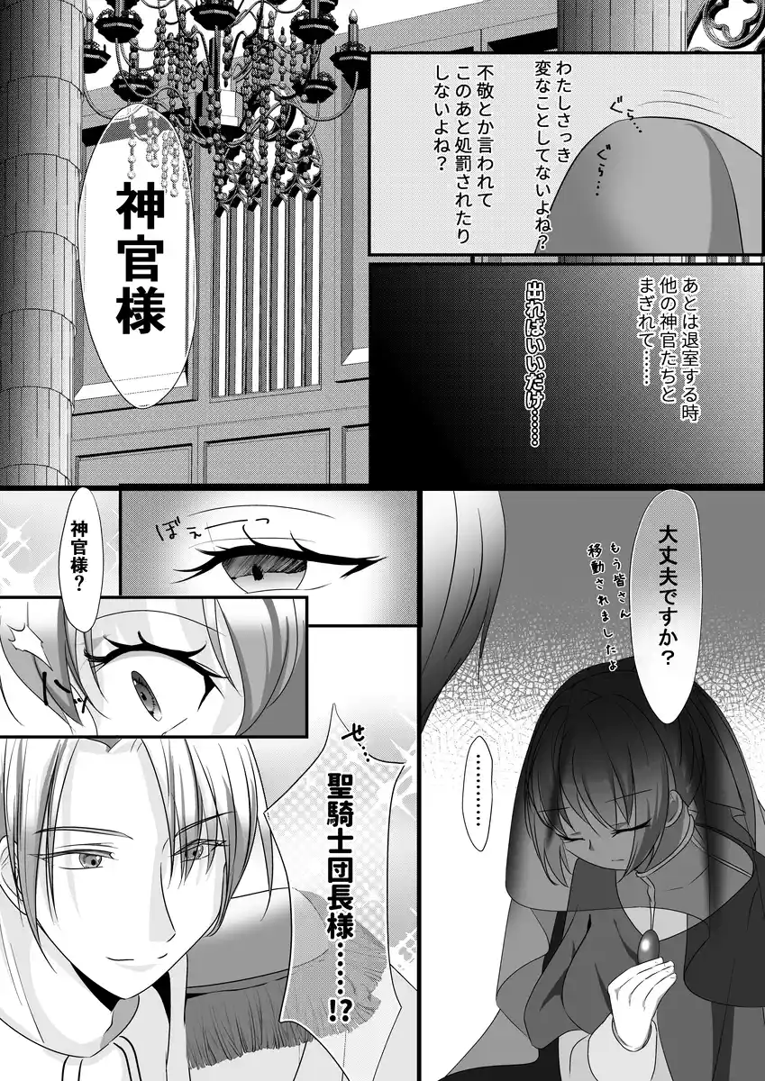 聖女召喚を成功させたらなぜか聖騎士団長様に捕まりました[さふぁいあどろっぷ] - PAGE 007