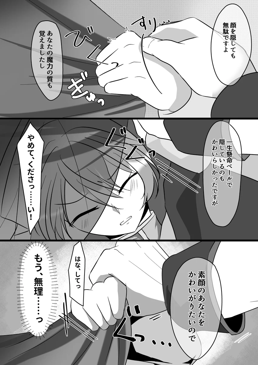 聖女召喚を成功させたらなぜか聖騎士団長様に捕まりました[さふぁいあどろっぷ] - PAGE 014