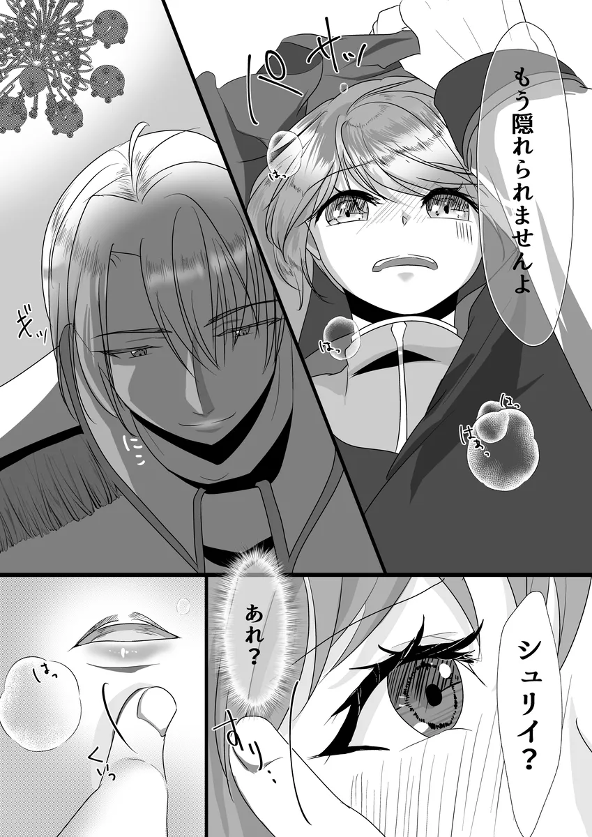 聖女召喚を成功させたらなぜか聖騎士団長様に捕まりました[さふぁいあどろっぷ] - PAGE 015