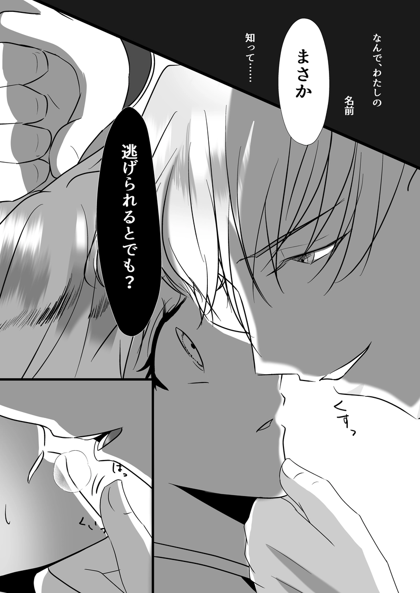 聖女召喚を成功させたらなぜか聖騎士団長様に捕まりました[さふぁいあどろっぷ] - PAGE 016