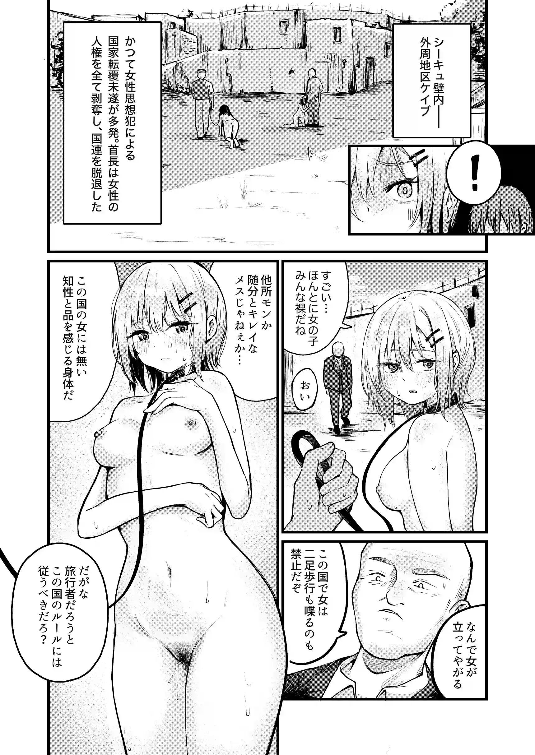 女性の権利が失われた国[mokataki_works] - PAGE 011