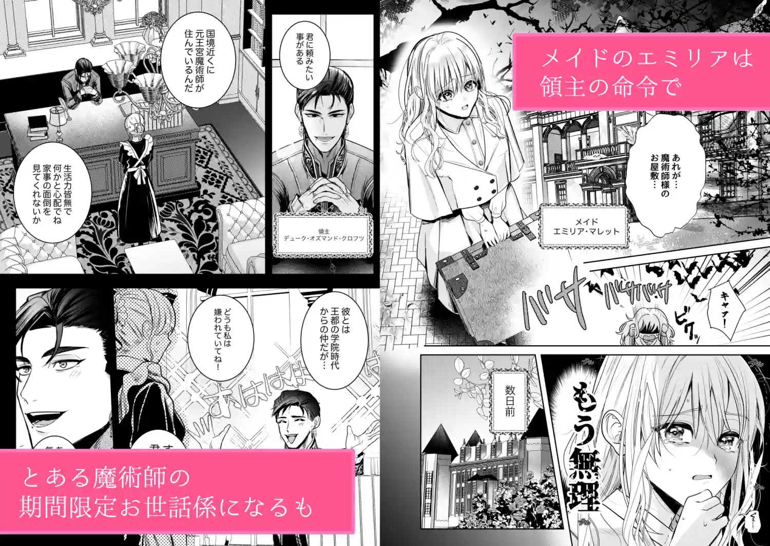 魔術師の花檻[いぬていこく] - PAGE 004