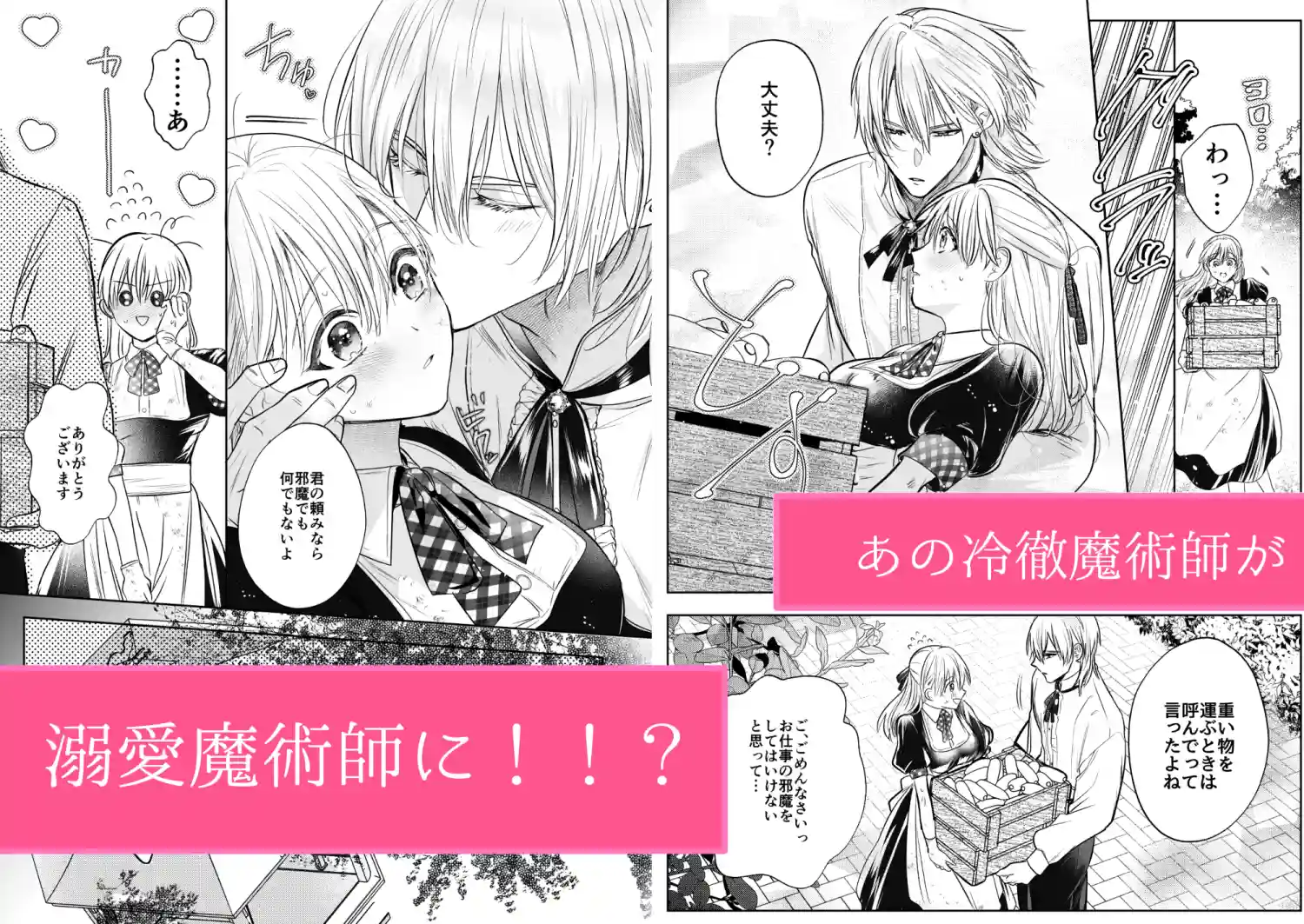 魔術師の花檻[いぬていこく] - PAGE 014