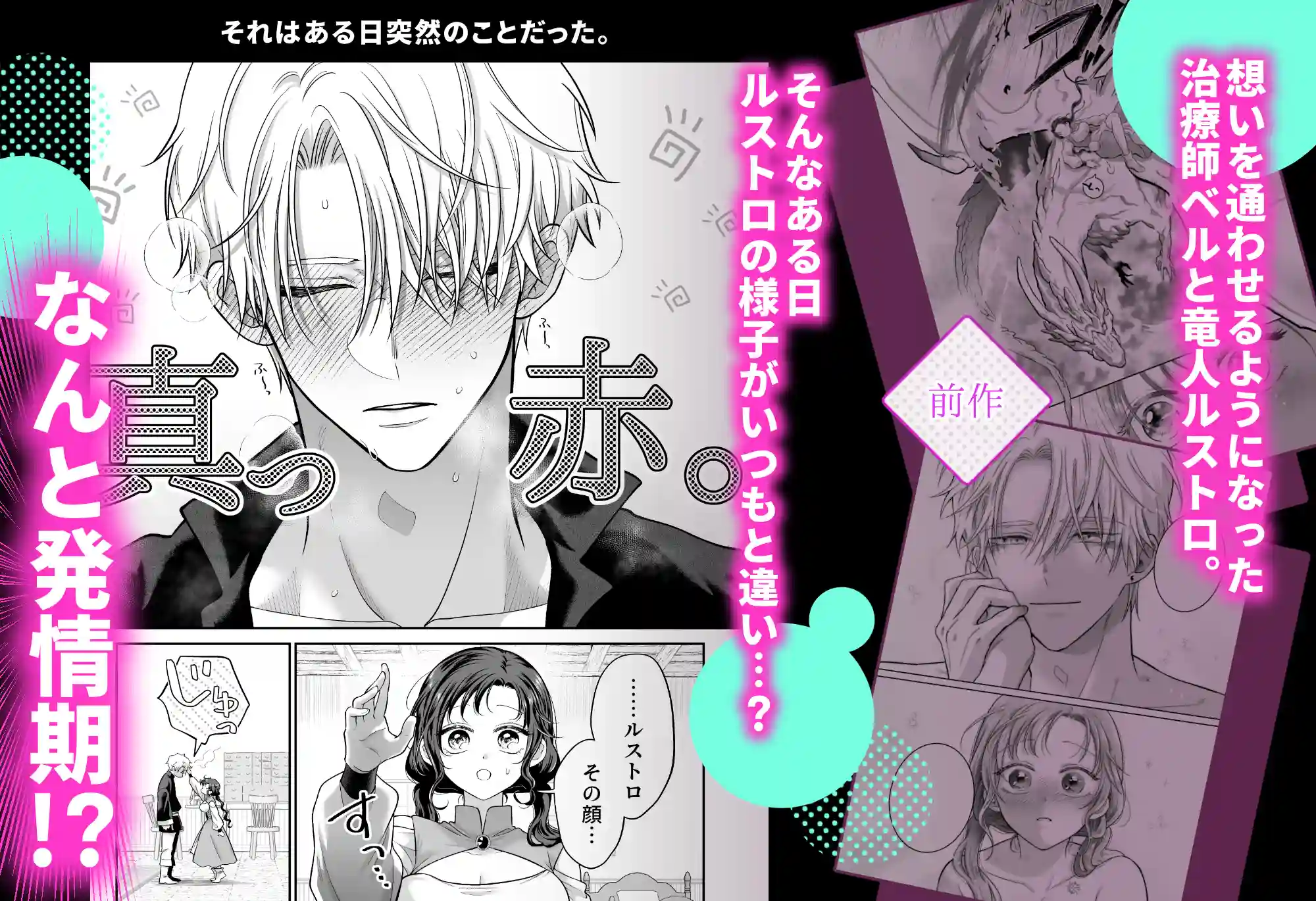 本音を隠した治療師は竜人サマに身体の奥まで暴かれる～春情の章～[れじゃんのレジャー] - PAGE 008