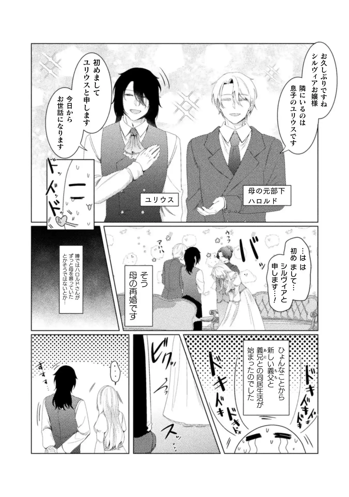 光芒～令嬢はヤンデレの執着愛に囚われる～[ChuChuメルト商会] - PAGE 028