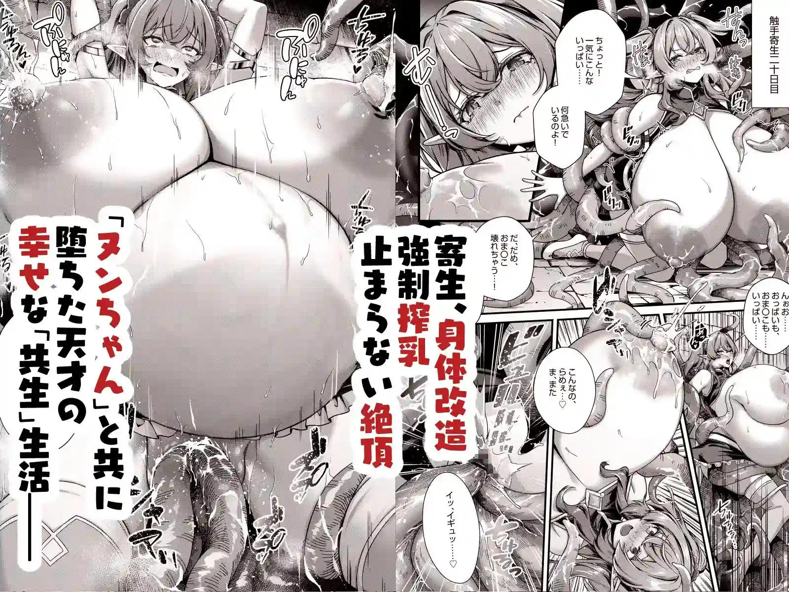 堕ちた天才魔法使い、苗床化エルフの60日間[缶子牧場] - PAGE 005