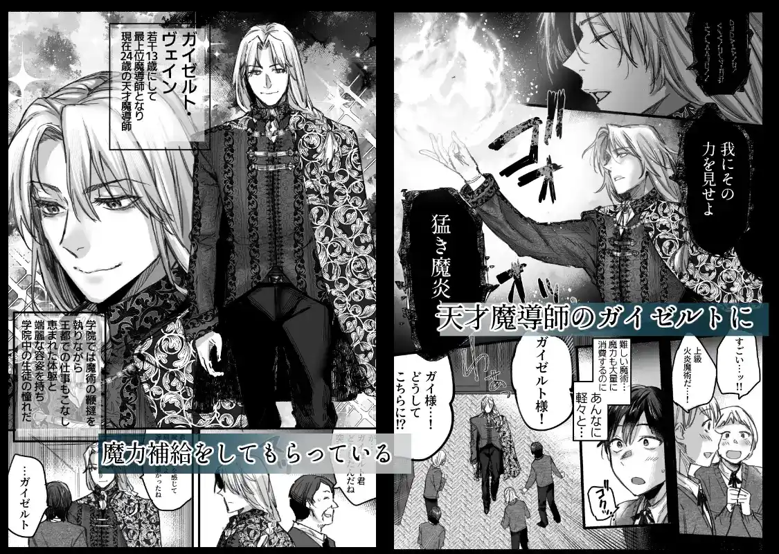 落ちこぼれはヤンデレ魔導師の激重執着愛に縛られる[廃像園] - PAGE 003