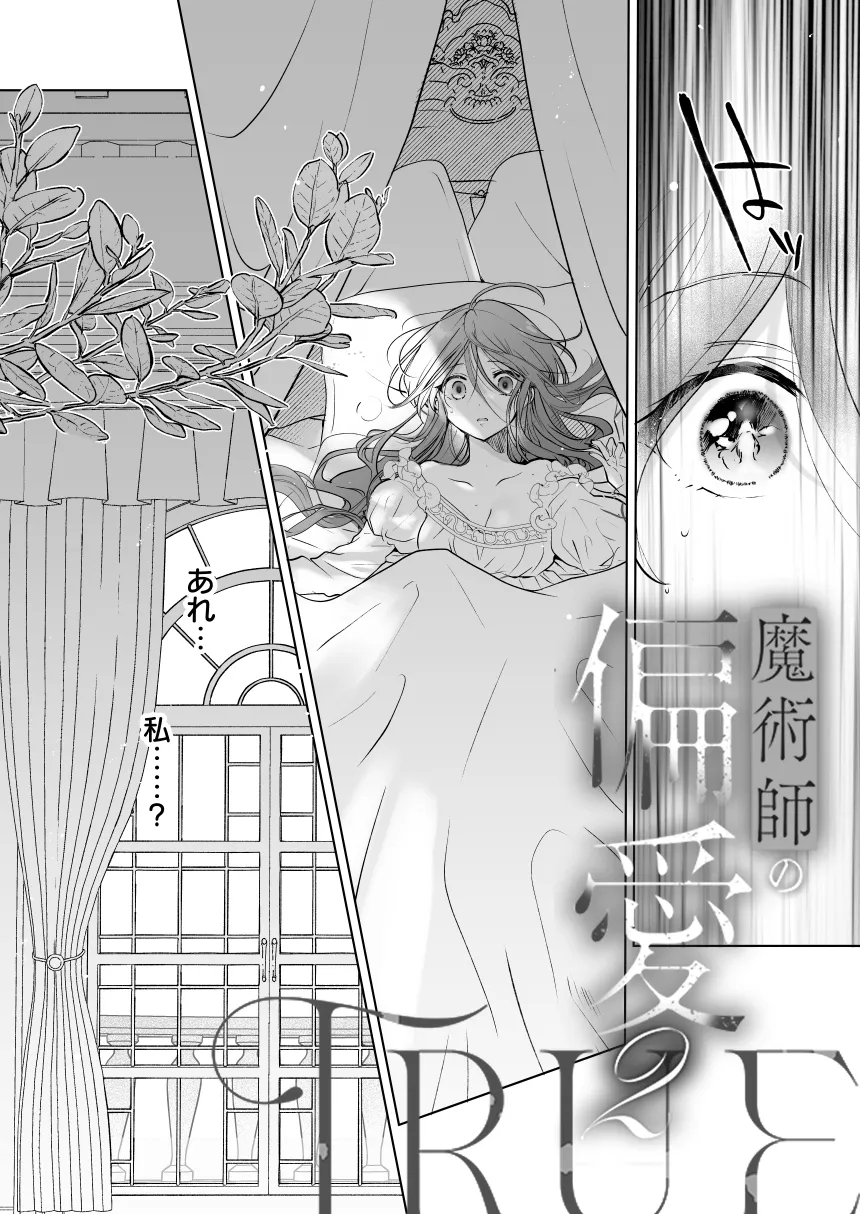 魔術師の偏愛2-TrueRoute-上[A.M2:00のアジフライ] - PAGE 009