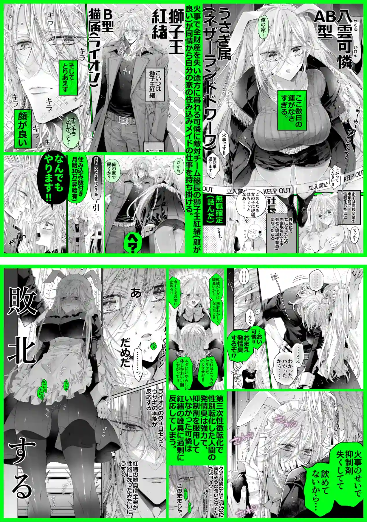 ターシャリトランスストレンジ*絶世の美女(元ヤン総長)が絶世の美男×2(敵対チーム総長)+(幼馴染)に執着溺愛される話[MOMO] - PAGE 066