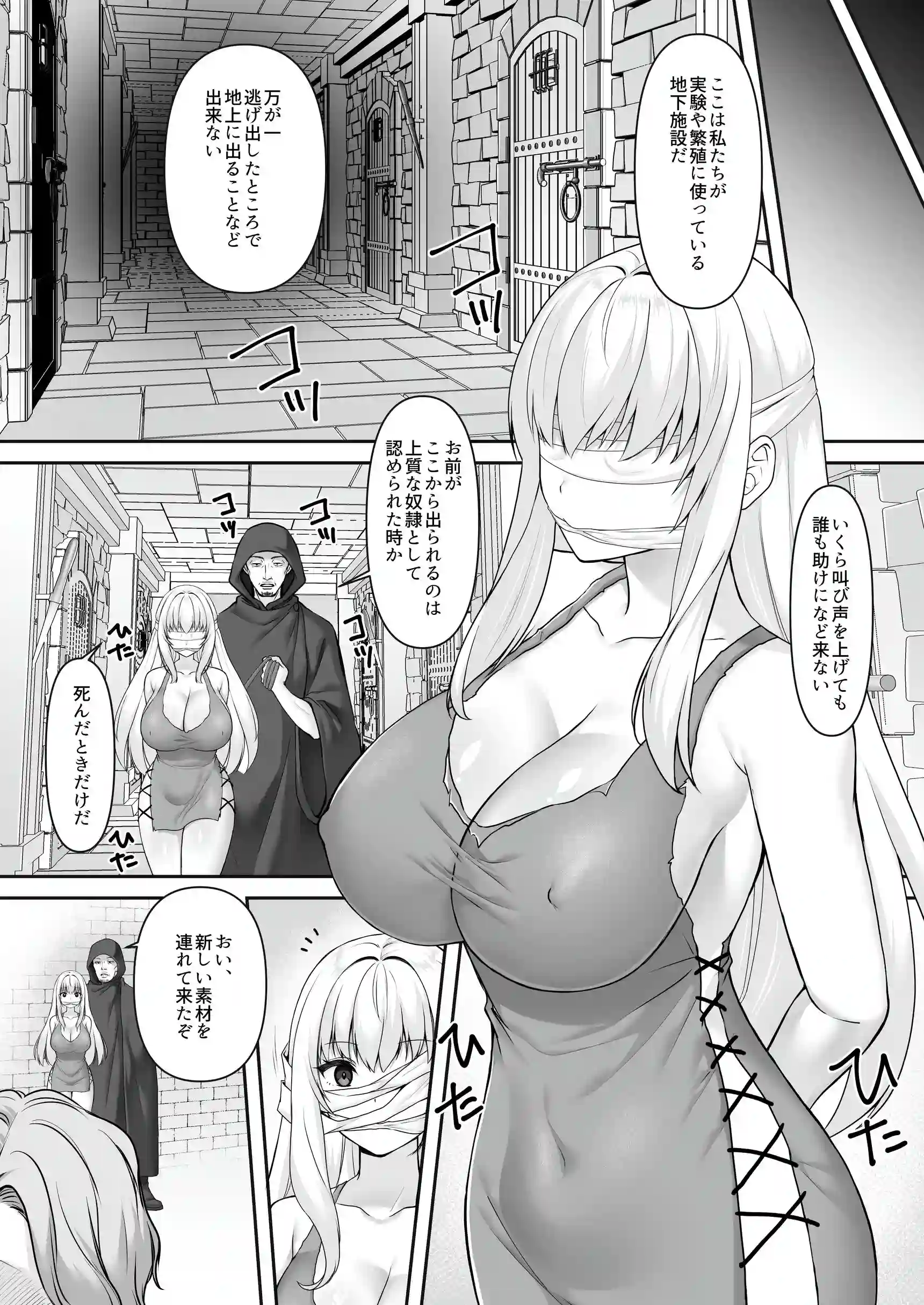 遮断賢者 ～百年生きた女賢者は囮捜査で感覚遮断魔法を使います～[聖華快楽書店] - PAGE 008