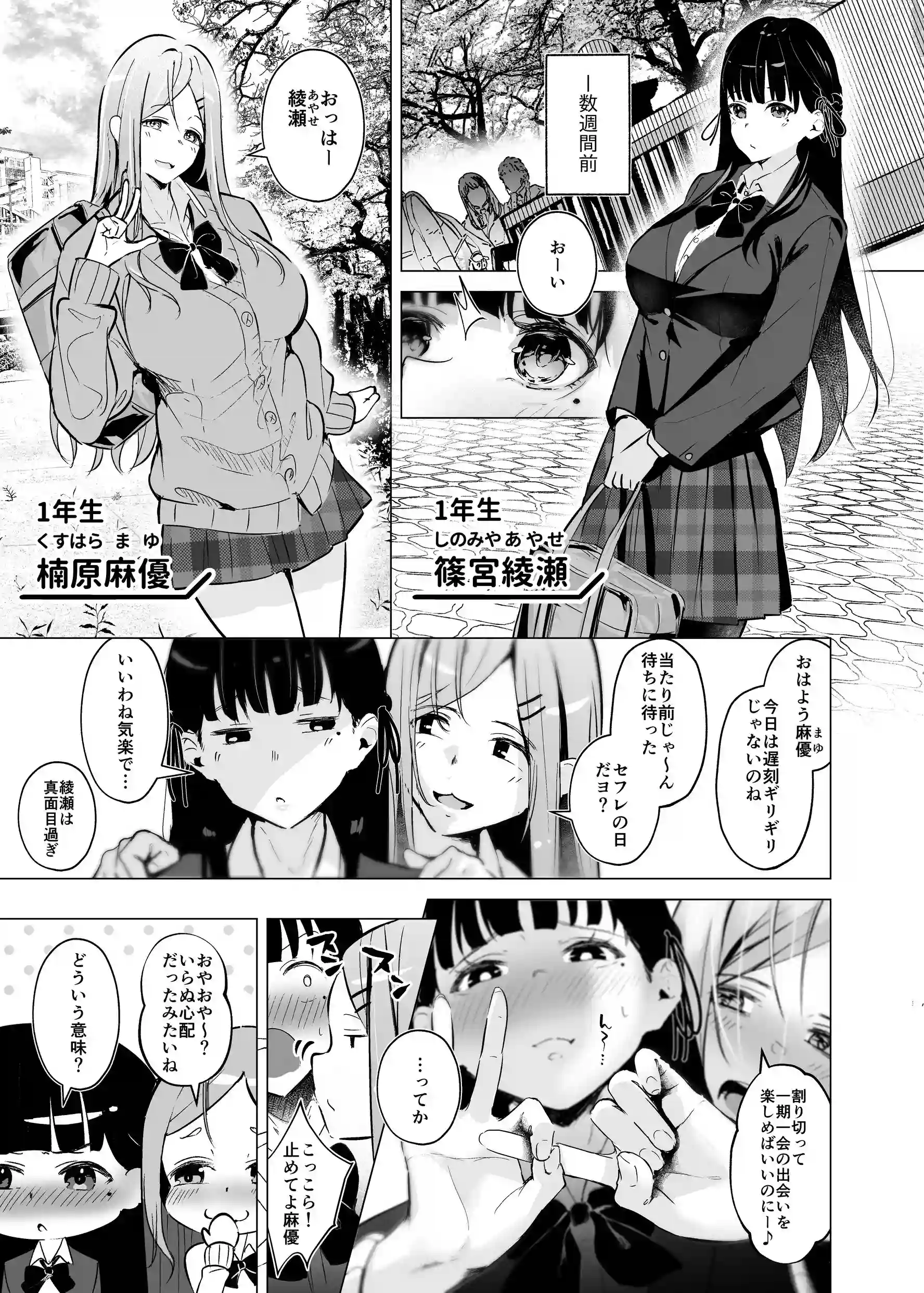 少子化対策で巨乳JKはセフレが必修科目です♪[聖華快楽書店] - PAGE 004