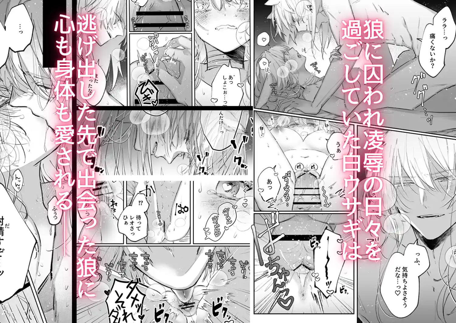 脱兎は狼の愛を知る[綺羅綺羅の日] - PAGE 002