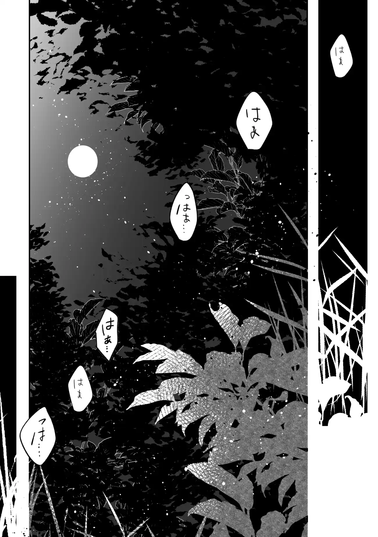 脱兎は狼の愛を知る[綺羅綺羅の日] - PAGE 003