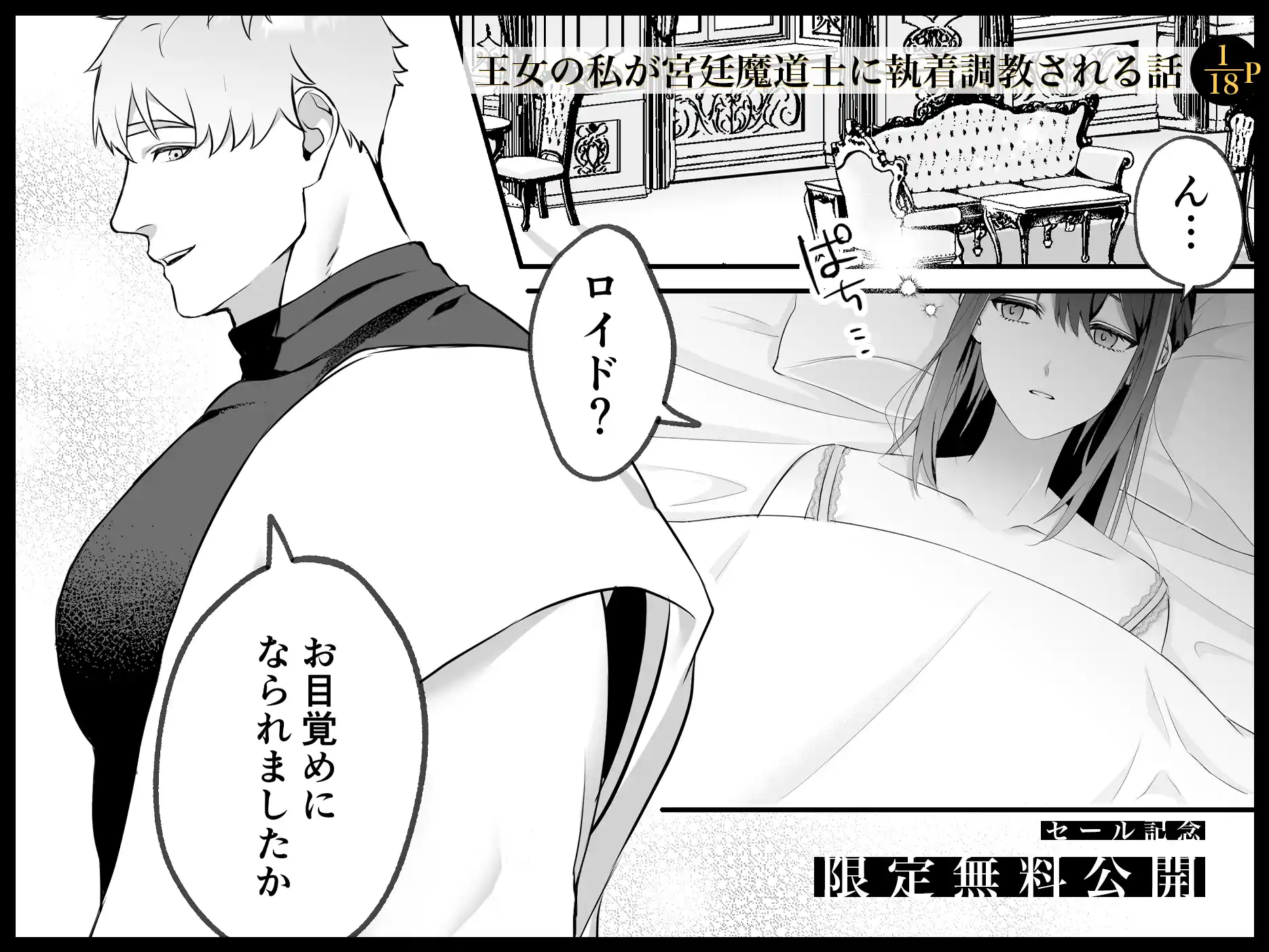 淫欲の魔痣 〜転生王女は信頼していた宮廷魔術師の強○セックスで壊される〜[マッスルポートフォリオ] - PAGE 003