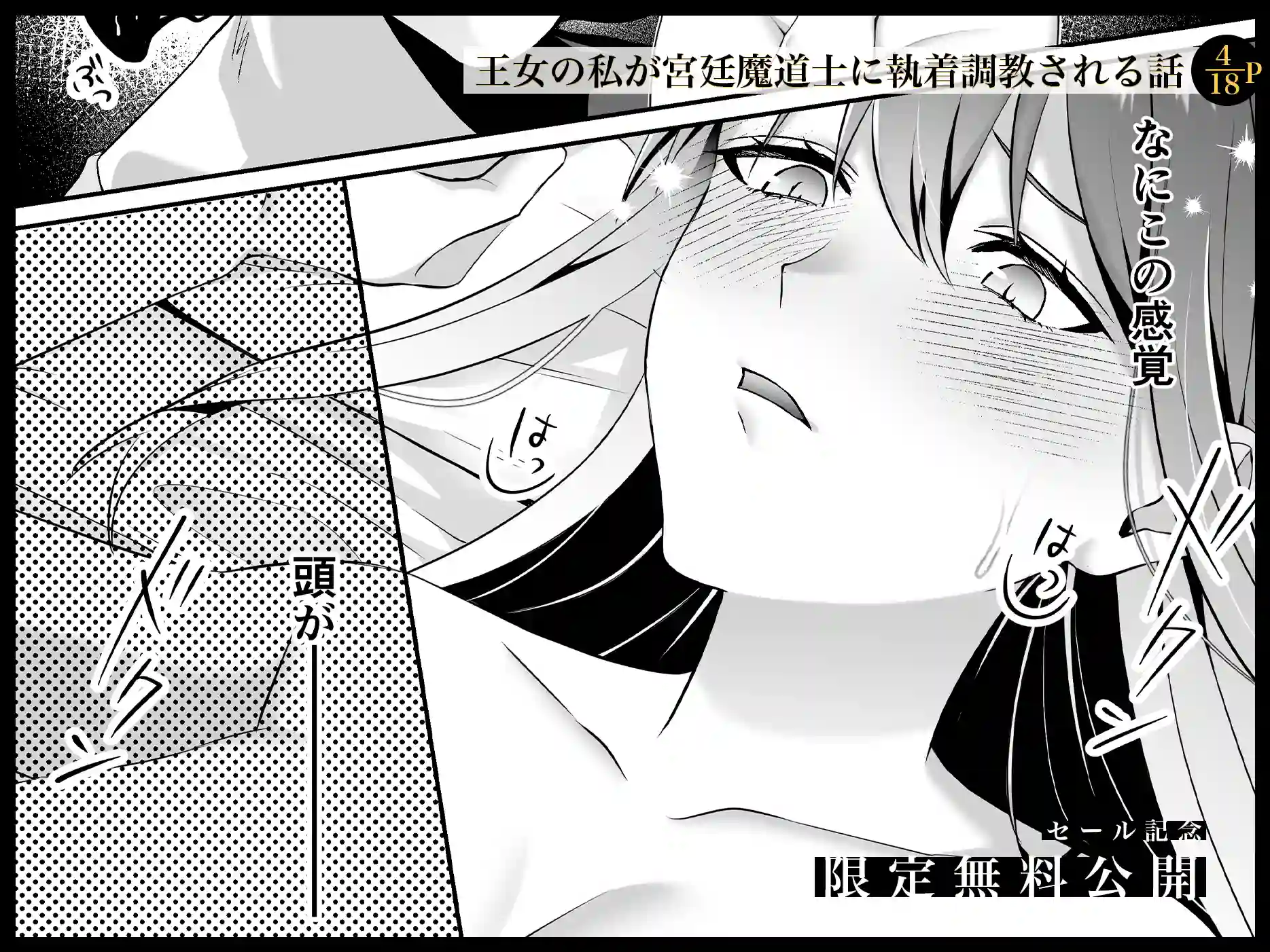 淫欲の魔痣 〜転生王女は信頼していた宮廷魔術師の強○セックスで壊される〜[マッスルポートフォリオ] - PAGE 006