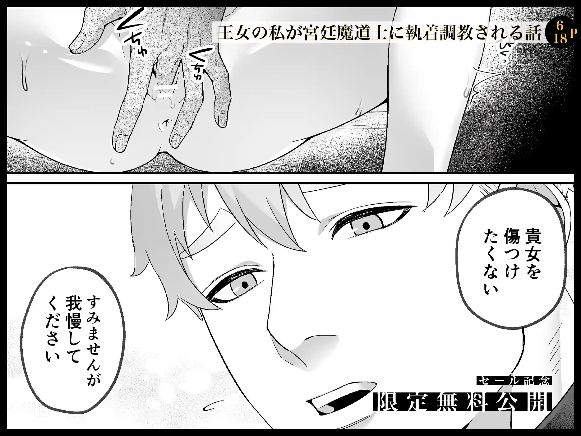 淫欲の魔痣 〜転生王女は信頼していた宮廷魔術師の強○セックスで壊される〜[マッスルポートフォリオ] - PAGE 008