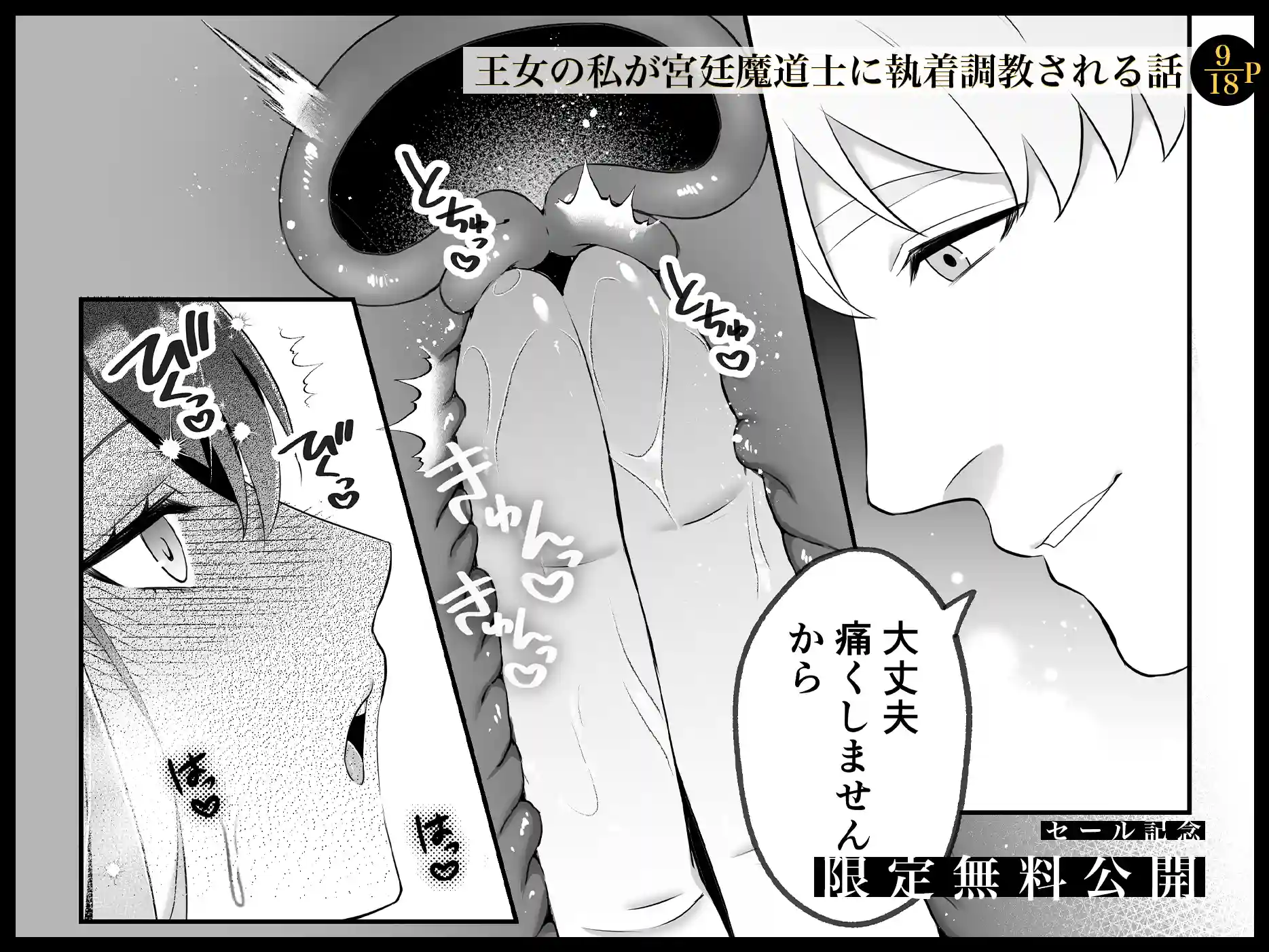 淫欲の魔痣 〜転生王女は信頼していた宮廷魔術師の強○セックスで壊される〜[マッスルポートフォリオ] - PAGE 011