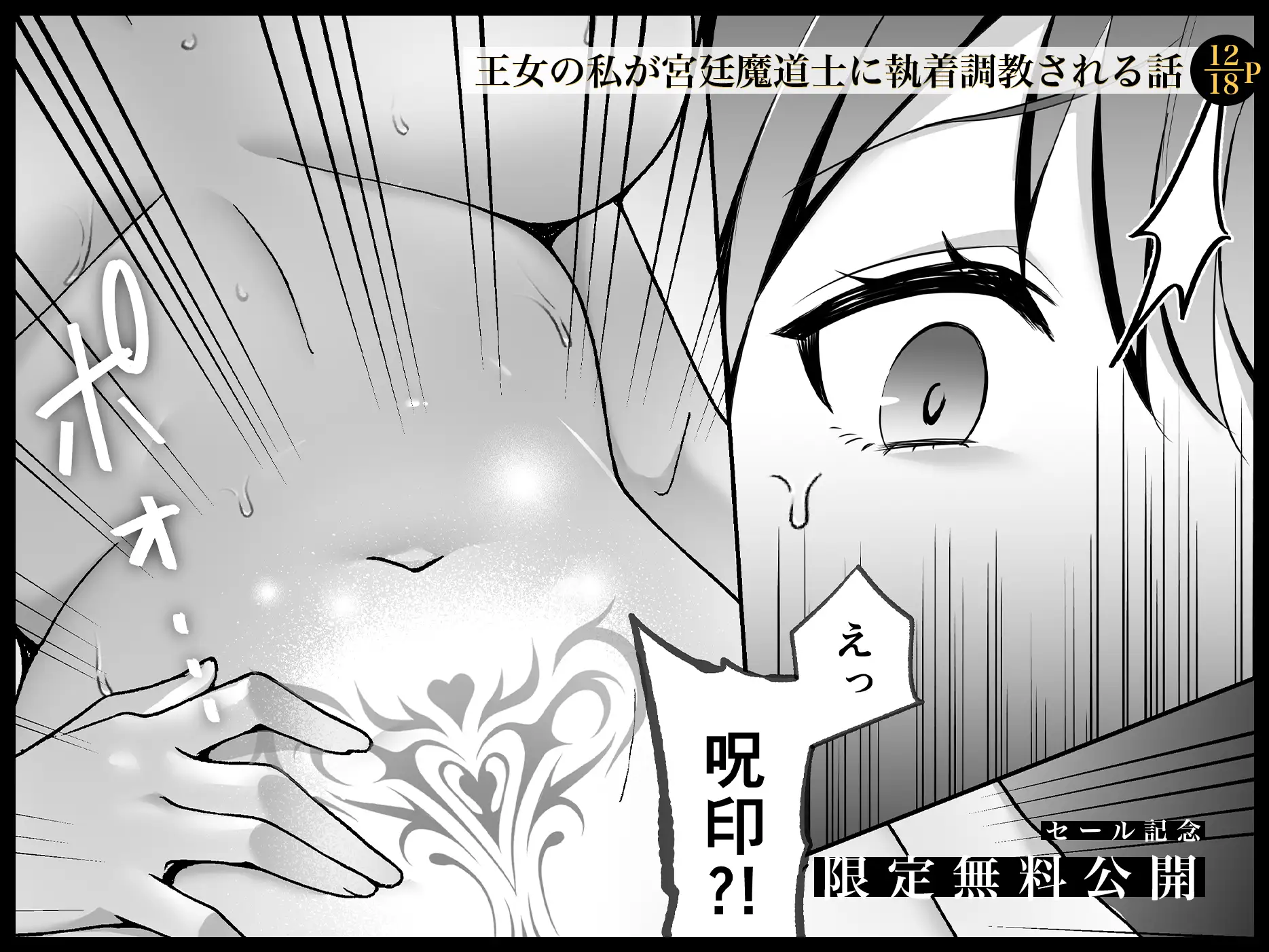 淫欲の魔痣 〜転生王女は信頼していた宮廷魔術師の強○セックスで壊される〜[マッスルポートフォリオ] - PAGE 014