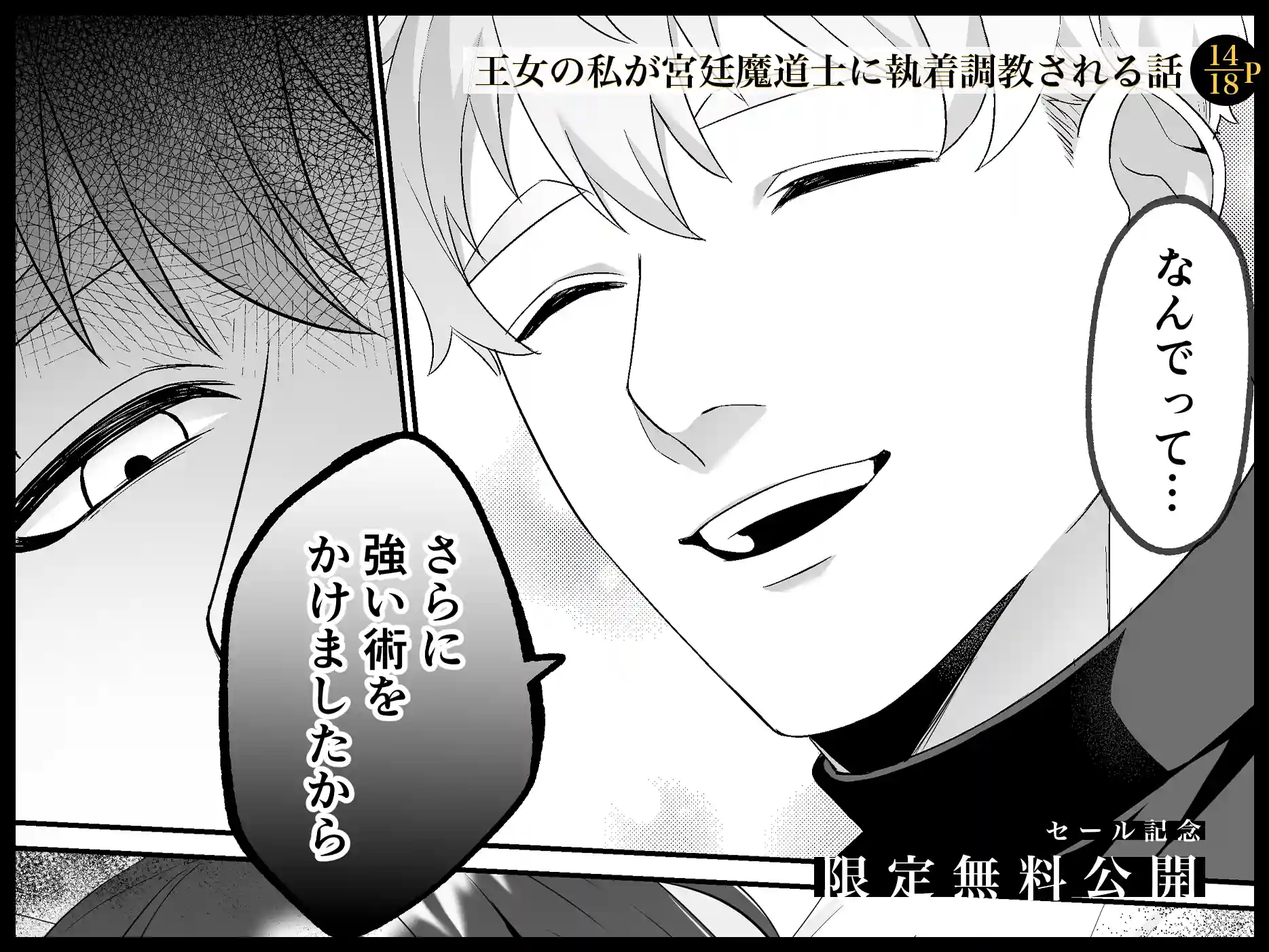 淫欲の魔痣 〜転生王女は信頼していた宮廷魔術師の強○セックスで壊される〜[マッスルポートフォリオ] - PAGE 016
