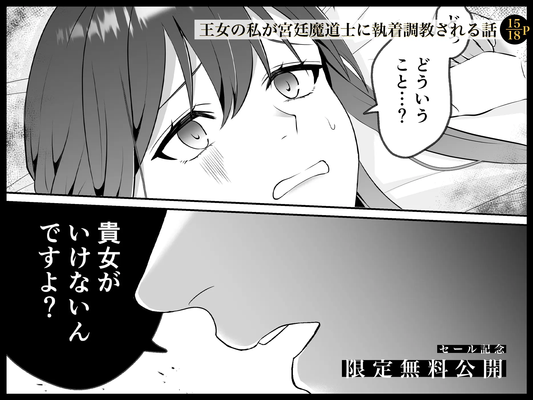 淫欲の魔痣 〜転生王女は信頼していた宮廷魔術師の強○セックスで壊される〜[マッスルポートフォリオ] - PAGE 017