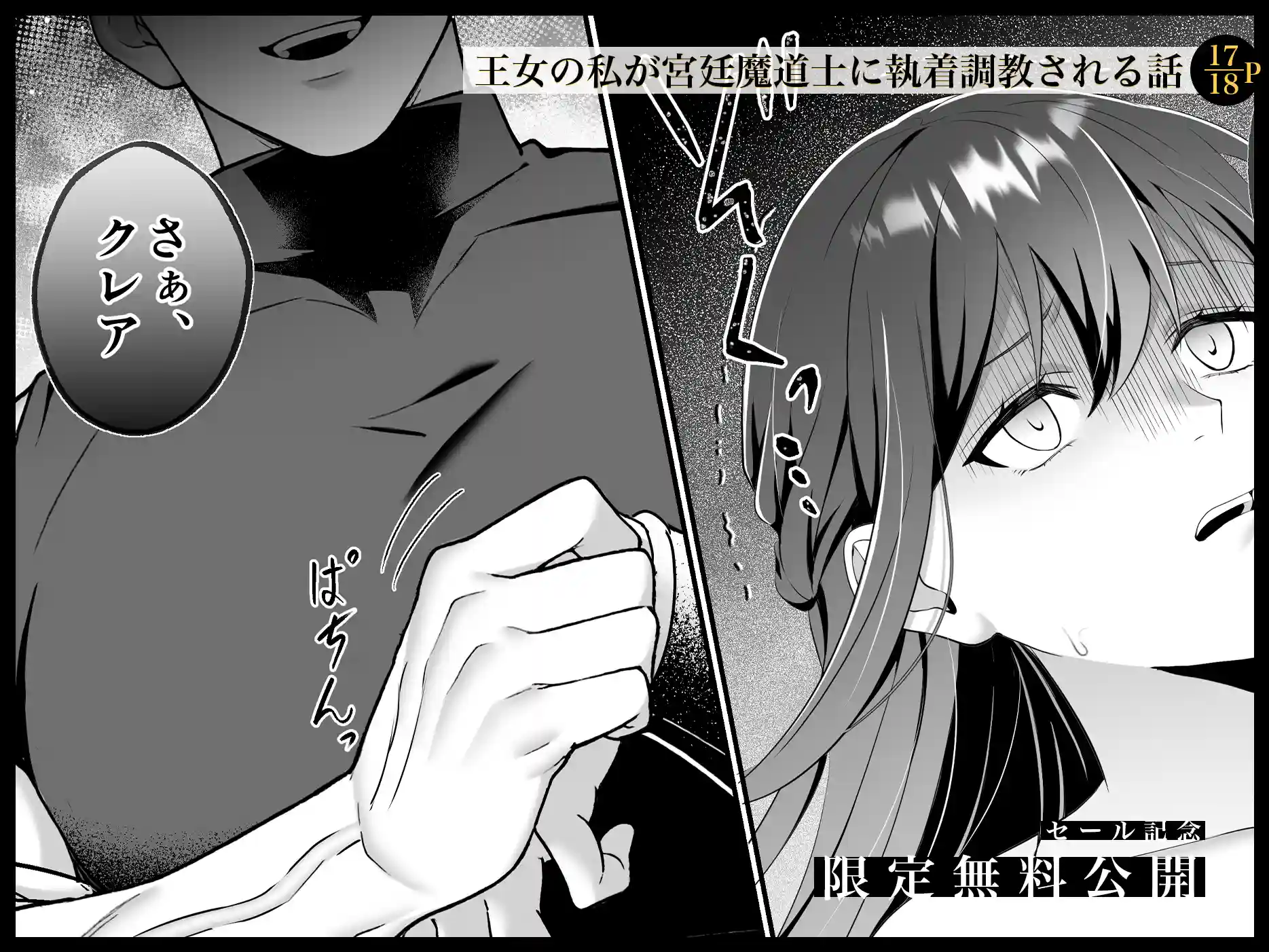 淫欲の魔痣 〜転生王女は信頼していた宮廷魔術師の強○セックスで壊される〜[マッスルポートフォリオ] - PAGE 019