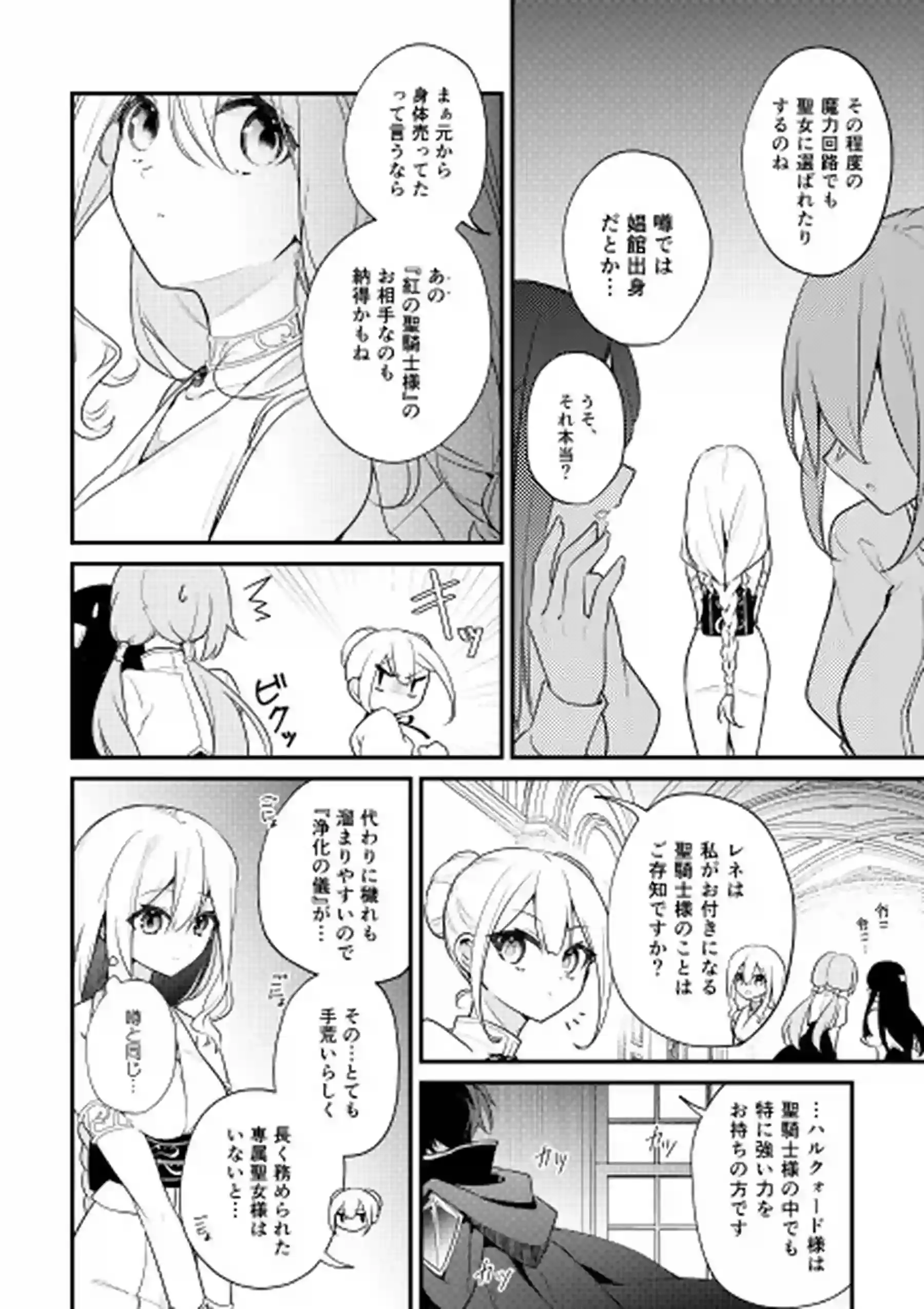 聖騎士の専属聖女 -訳あり聖女は穢れの聖騎士と誠実な儀をする-[隅家] - PAGE 005
