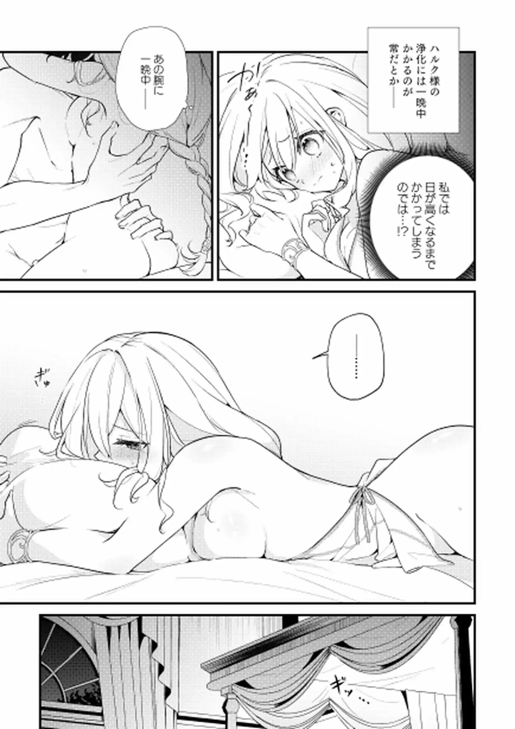 聖騎士の専属聖女 -訳あり聖女は穢れの聖騎士と誠実な儀をする-[隅家] - PAGE 028