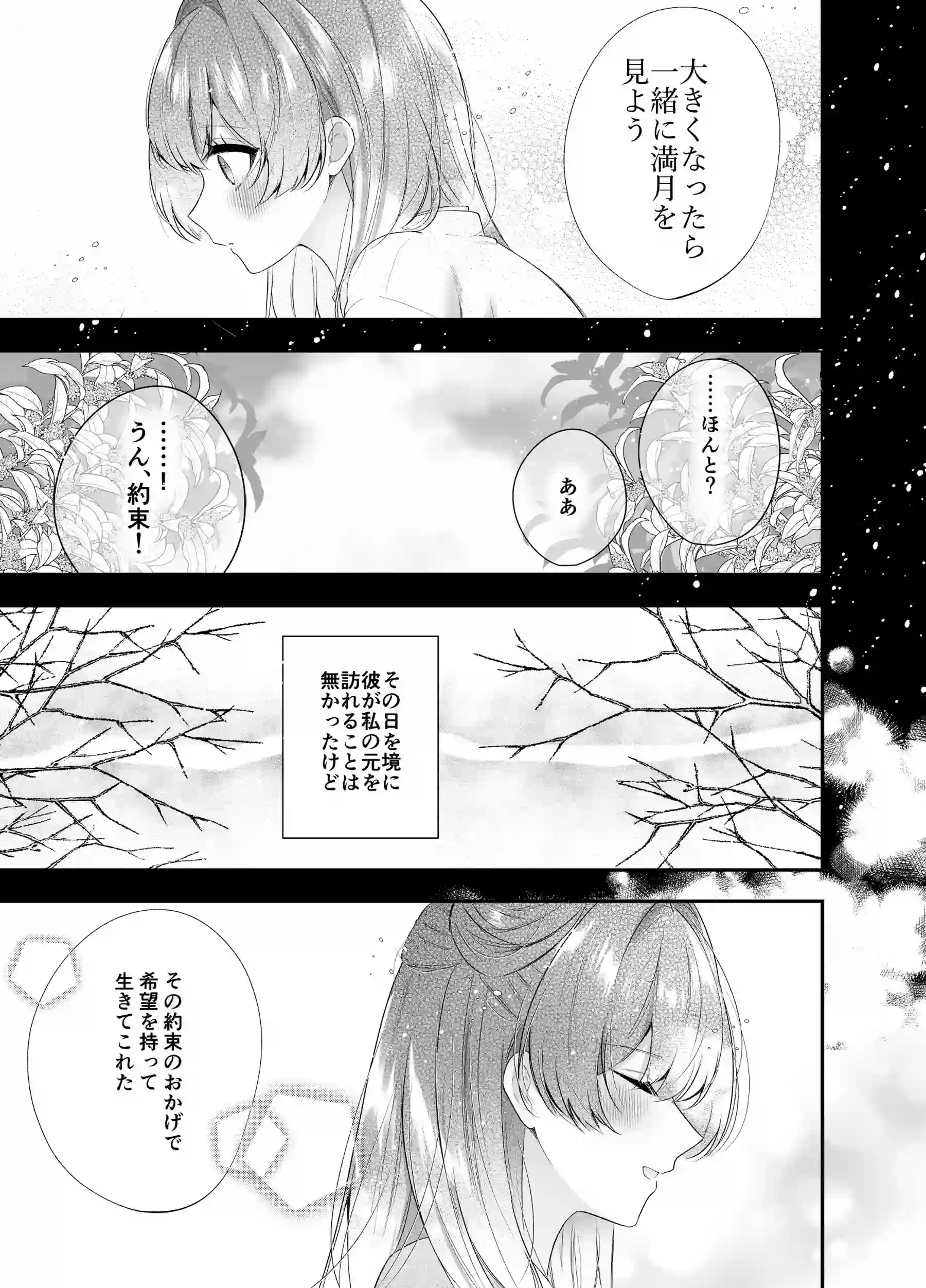 桃心照月〜不器用な彼が積年焦がれた分、それ以上に私を愛する迄〜[甘蜜処] - PAGE 015