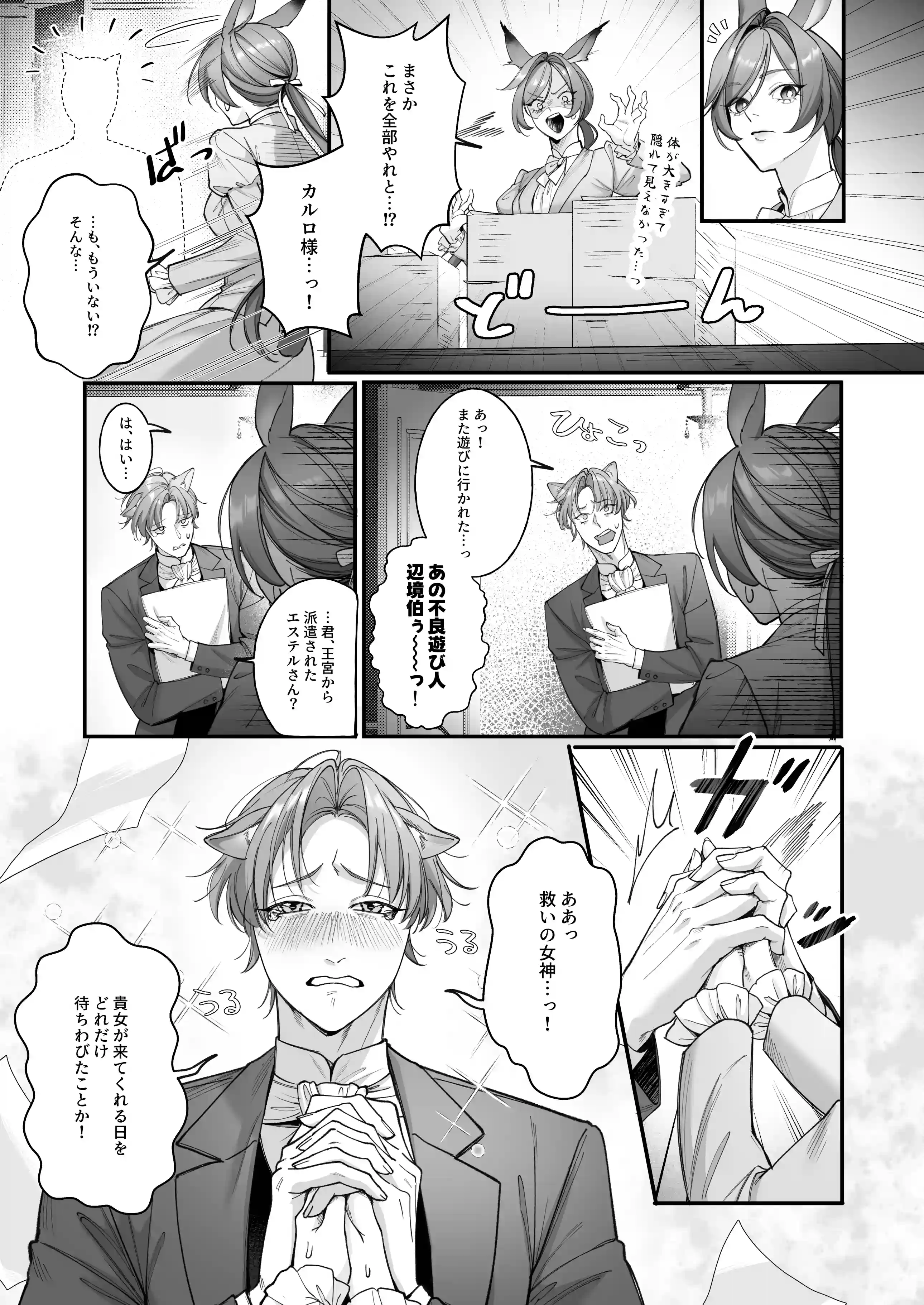 遊び人トラ辺境伯はうさぎさんに理性崩壊中[姫の夜あそび] - PAGE 006