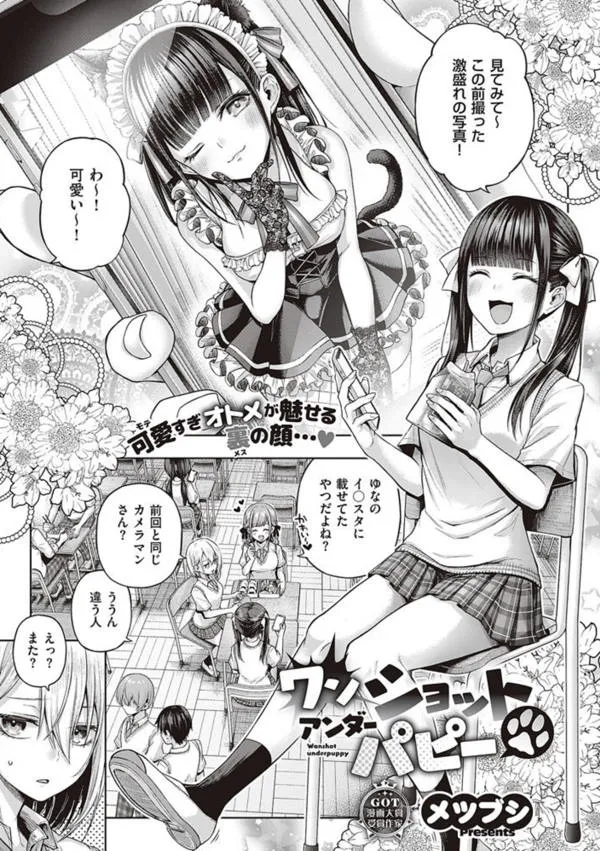 ワンショットアンダーパピー[ジーオーティー]